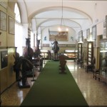 Galleria cavallo d'arme e sportivo copia